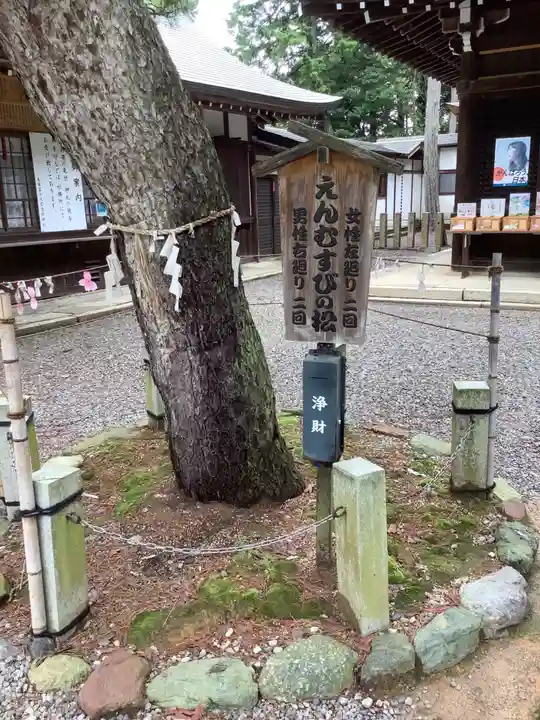 尾張冨士大宮浅間神社の自然