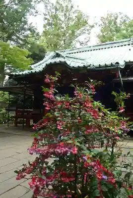 赤坂氷川神社(東京都)
