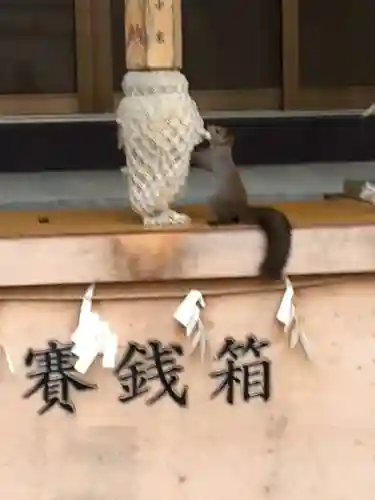 石山神社の動物