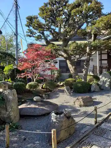 常照寺の庭園