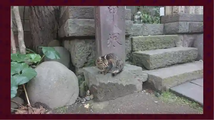 小野照崎神社(東京都)