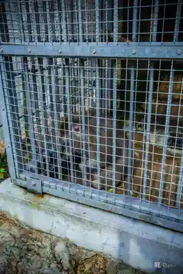 日吉大社(滋賀県)