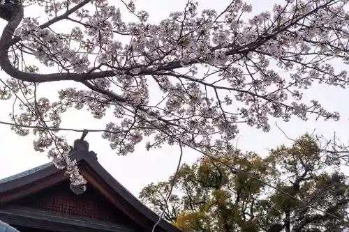 三嶋大社(静岡県)