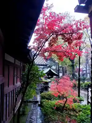 妙法寺(東京都)
