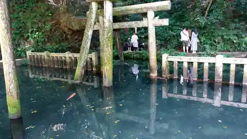 奥宮(鹿島神宮摂社)の鳥居