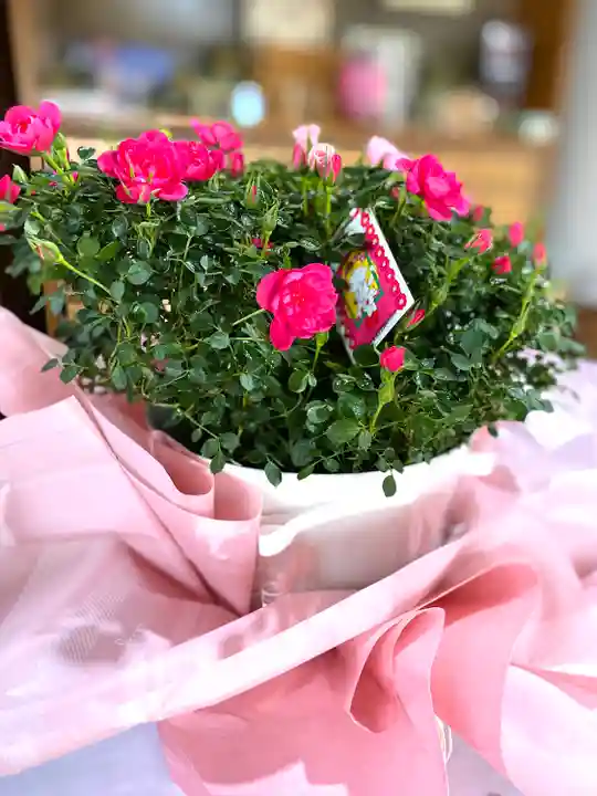 飯笠山神社(長野県)