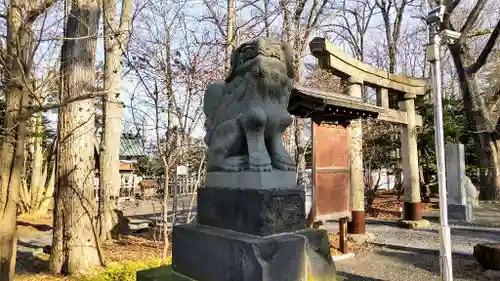 旭川神社の狛犬