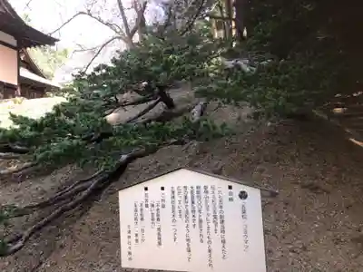 土津神社｜こどもと出世の神さま(福島県)