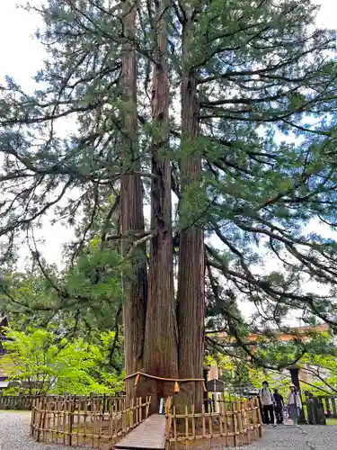 戸隠神社中社(長野県)