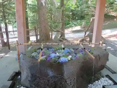 千歳神社の手水舎