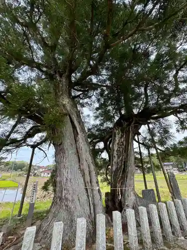 神明神社(岐阜県)