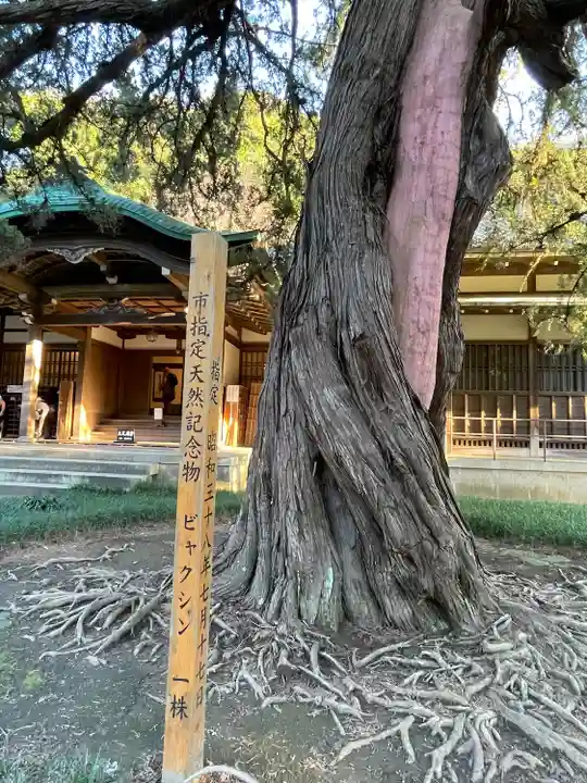 円覚寺(神奈川県)