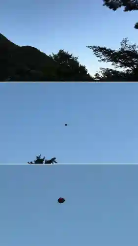 函館八幡宮(北海道)