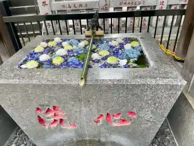 高円寺氷川神社(東京都)