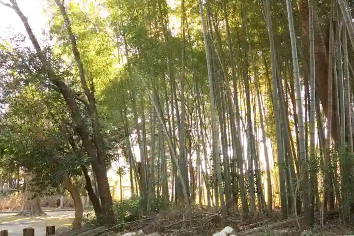 神岡稲荷神社(茨城県)