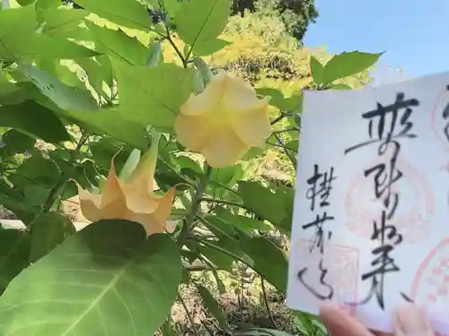 横蔵寺(岐阜県)