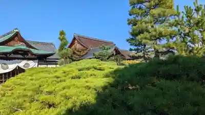 大覚寺(京都府)