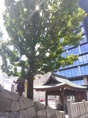 佐佳枝廼社(福井県)