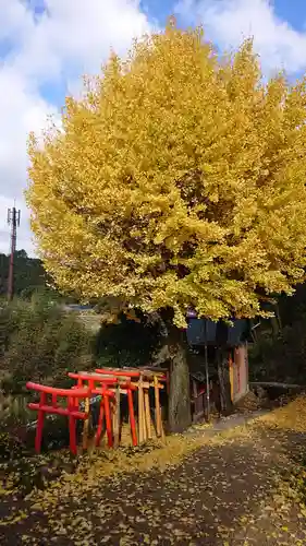 円明寺の鳥居