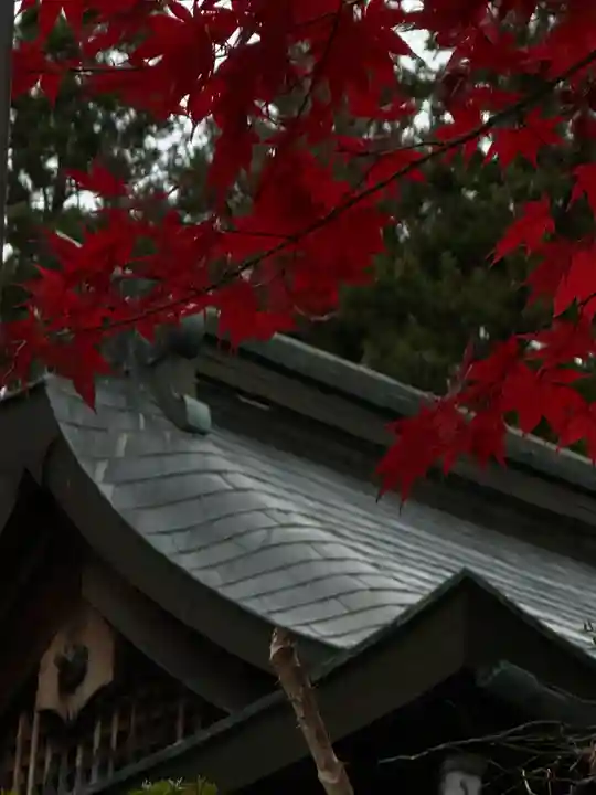 諏訪大社(長野県)