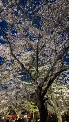 平野神社(京都府)