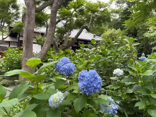 頼光寺(兵庫県)