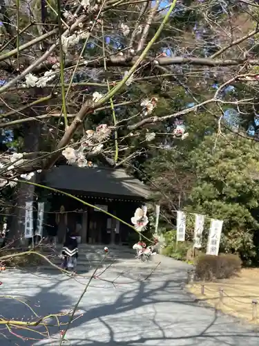 阿佐ヶ谷神明宮(東京都)