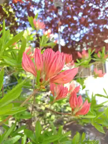 厚別神社(北海道)