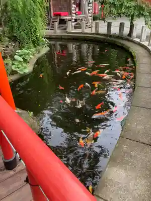 相模国総社六所神社(神奈川県)