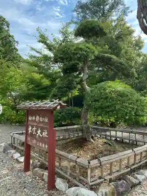 出雲大社上総教会（国吉神社内）(千葉県)