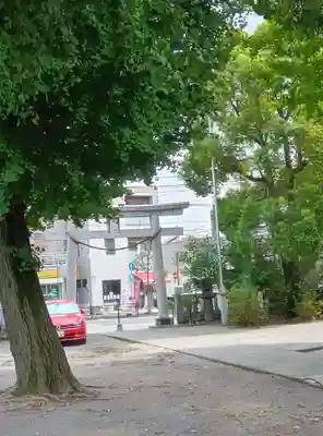 若宮八幡宮 (神奈川県)