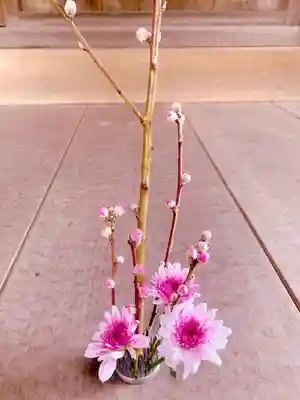 高龍寺(愛媛県)