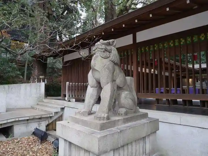 乃木神社の狛犬