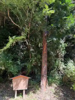 高瀧神社(千葉県)