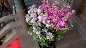 阿邪訶根神社の自然(2021年11月24日(水) 09時22分22秒投稿)