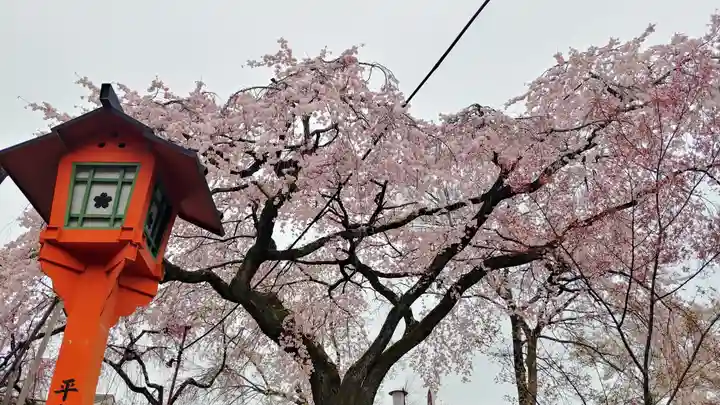 平野神社の自然