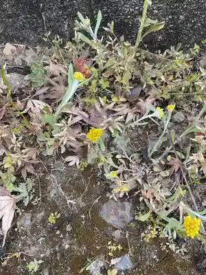 宗栄寺(愛知県)