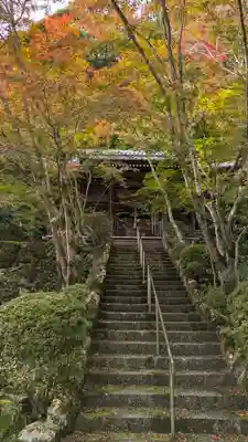 勝持寺（花の寺）(京都府)
