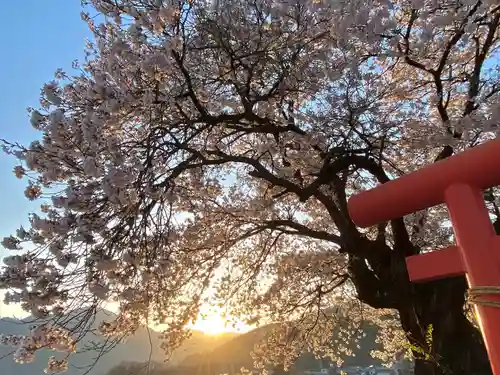 天神宮(伝河原氏屋敷跡)の自然