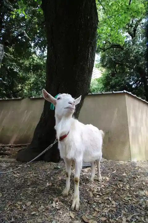 水稲荷神社(東京都)