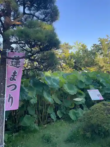 白山神社(新潟県)