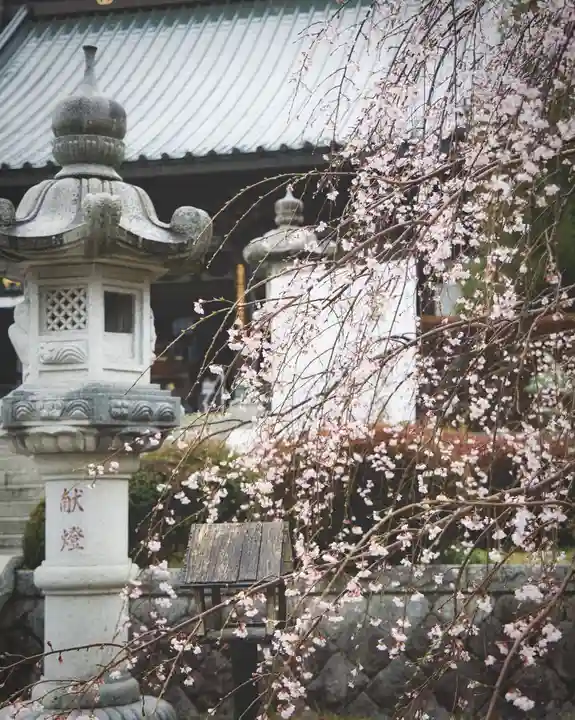 大聖寺(土浦大師不動尊)(茨城県)