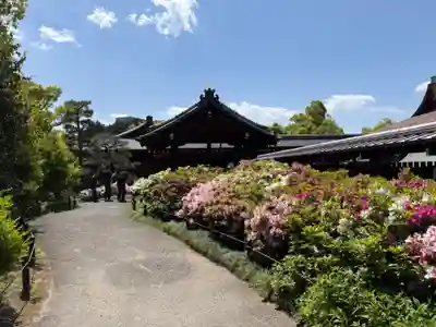 城南宮(京都府)
