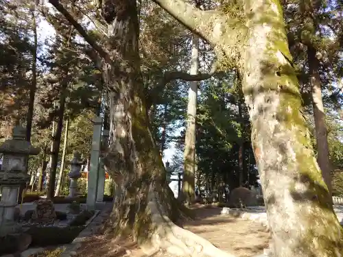 諏訪大社下社秋宮(長野県)