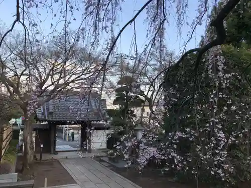 金蔵院の山門・神門