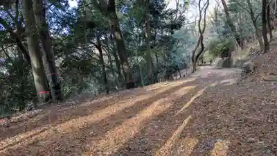宇治上神社の周辺