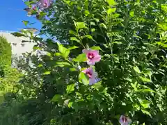 秩父札所十三番 慈眼寺(埼玉県)