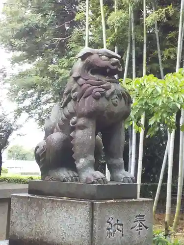 野々宮神社の狛犬