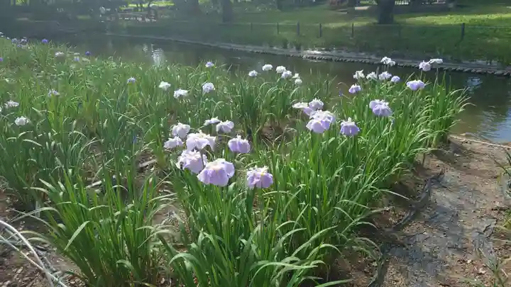 伊佐須美神社(福島県)
