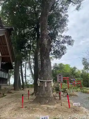 飯福神社の{uncategorized: "未分類", other: "その他", undefined: "問題あり", building: "その他建物", grave: "お墓", sacred_gate: "鳥居", guardian: "狛犬", statue: "像", buddha: "仏像", history: "歴史", nature: "自然", garden: "庭園", animal: "動物", pagoda: "塔", temizu: "手水舎", mountain_gate: "山門・神門", sanctuary: "本殿・本堂", subordinate: "末社・摂社", art: "芸術", scenery: "景色", jizo: "地蔵", ema: "絵馬", goshuin: "御朱印", omikuji: "おみくじ", items: "授与品その他", amulet: "お守り", goshuincho: "御朱印帳", eats: "食事", festival: "お祭り", votive_dance: "神楽", shichigosan: "七五三参", wedding: "結婚式", experience: "体験その他", initially: "初詣", around: "周辺", anti_infection: "感染症対策"}